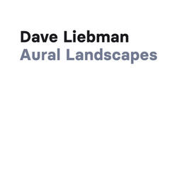 Aural Landscape 15