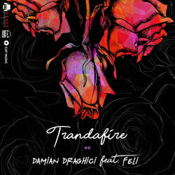 Trandafire