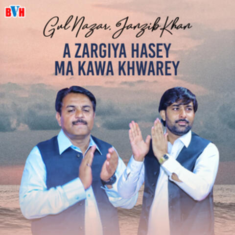 A Zargiya Hasey Ma Kawa Khwarey - Single