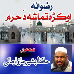 Rizwana Okra Tamasha Da Haram
