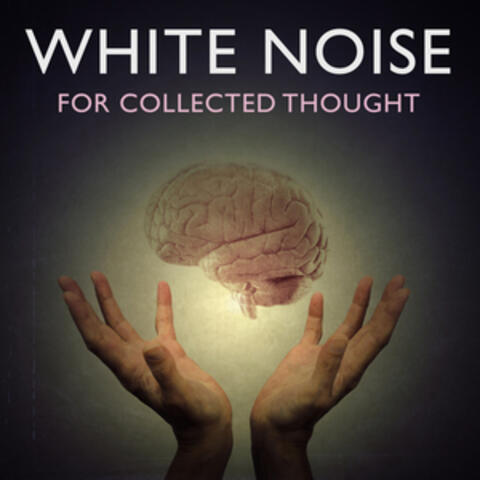 White Noise for Collected Thought