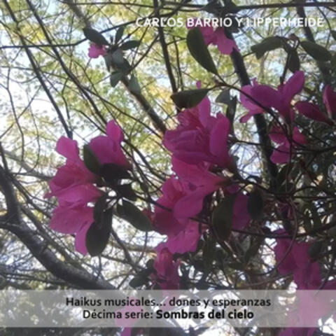 Haikus Musicales... Dones y Esperanzas. Décima Serie: Sombras del Cielo