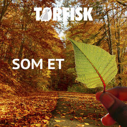 Som Et Blad