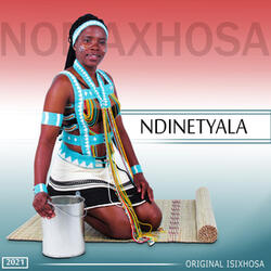 Ndizamela Wena