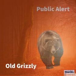 Old Grizzly