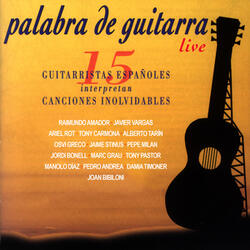 Palabra de guitarra