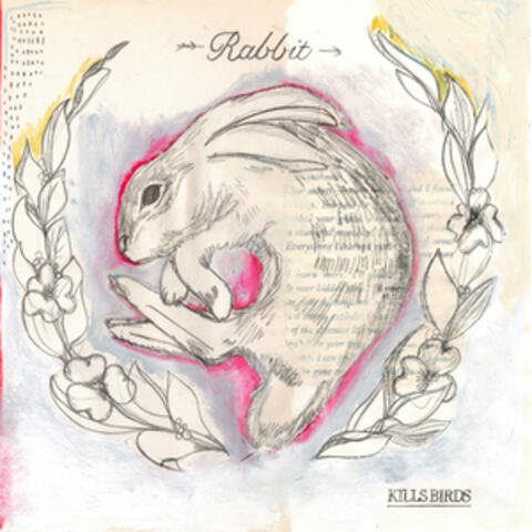 Rabbit