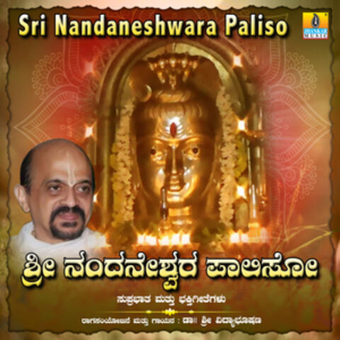 Sri Nandaneshwara Paliso