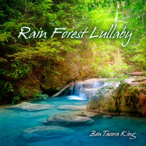 Rain Forest Lullaby