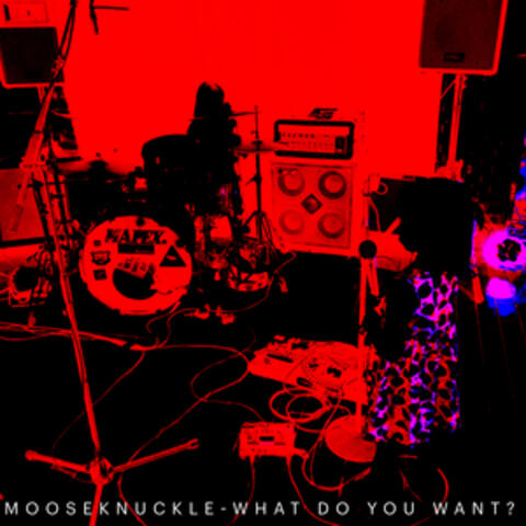 What Do You Want?