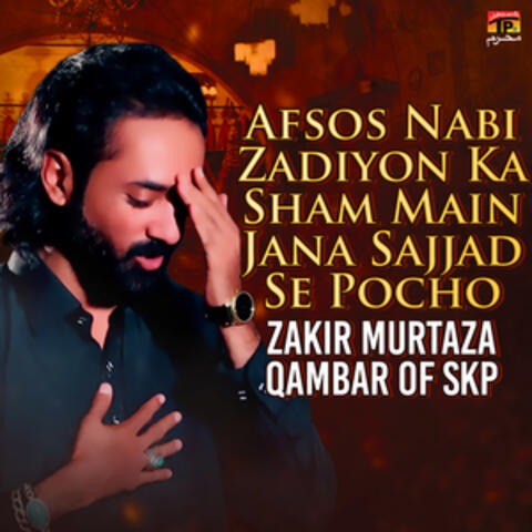 Afsos Nabi Zadiyon Ka Sham Main Jana Sajjad Se Pocho - Single