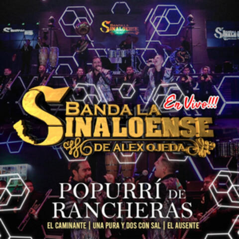 Popurrí de Rancheras: El caminante / Un pura y dos con sal / El ausente
