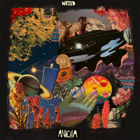 Anicha