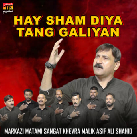 Hay Sham Diya Tang Galiyan - Single