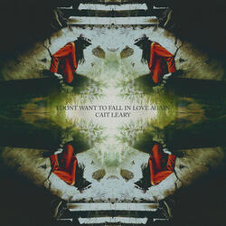 I Don't Want to Fall in Love Again