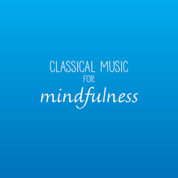 Suite bergamasque, L.75: 3. Clair de lune (Arr. Eduard Grigoryan)