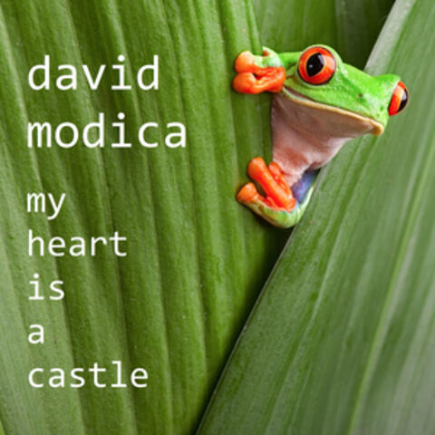 My Heart is a Castle