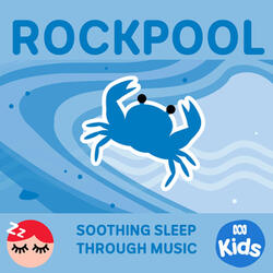 Rockpool 6