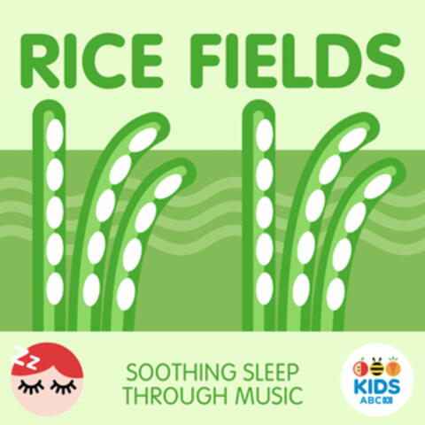 Rice Fields - Soothing Sleep Through Music