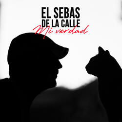 No Me Verás Llorando