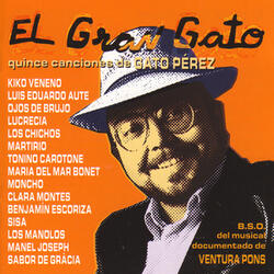 Ay, Rumba Calí