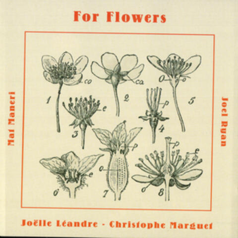 For Flowers