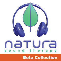 BETA 15hz - Supreme Concentration