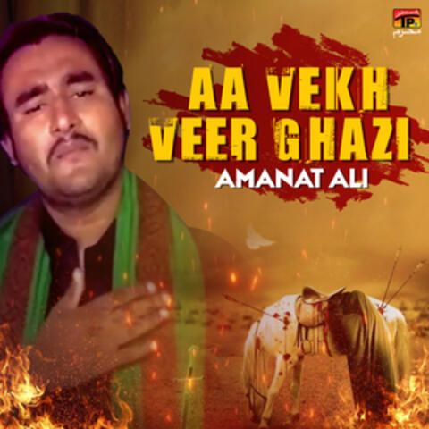 Aa Vekh Veer Ghazi - Single