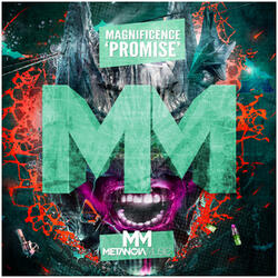 Promise