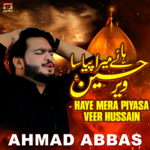 Haye Mera Piyasa Veer Hussain - Single
