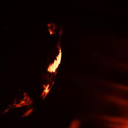 The Everdarkgreen