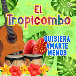 Quisiera Amarte Menos