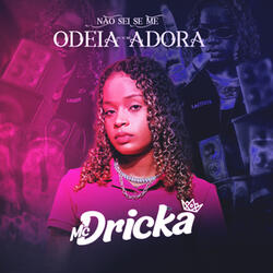 Não Sei Se Me Odeia Ou Se Me Adora