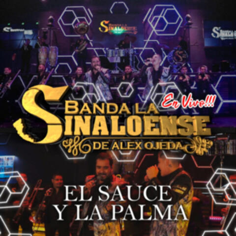 El Sauce y la Palma