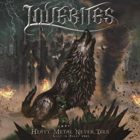 HEAVY METAL NEVER DIES