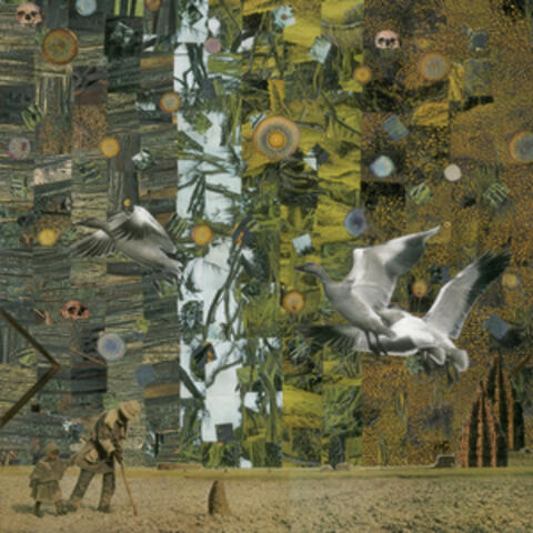 The Shallow Well / Glossolalia