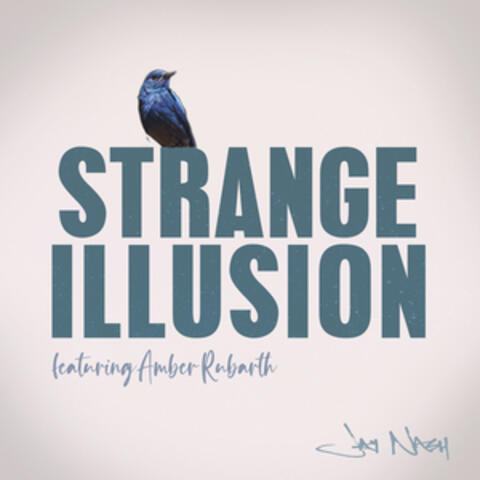 Strange Illusion