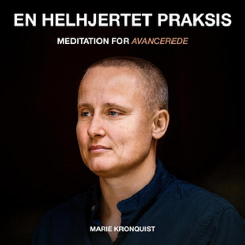 Meditation for avancerede - En helhjertet praksis