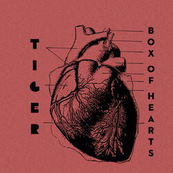 Box of Hearts