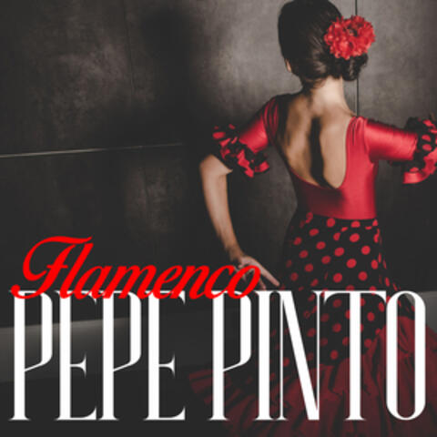 Flamenco Pepe Pinto