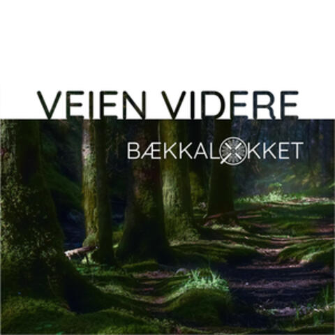 Veien videre