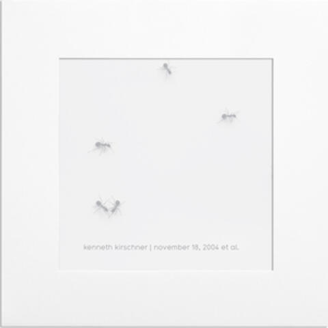 November 18, 2004 Et Al.