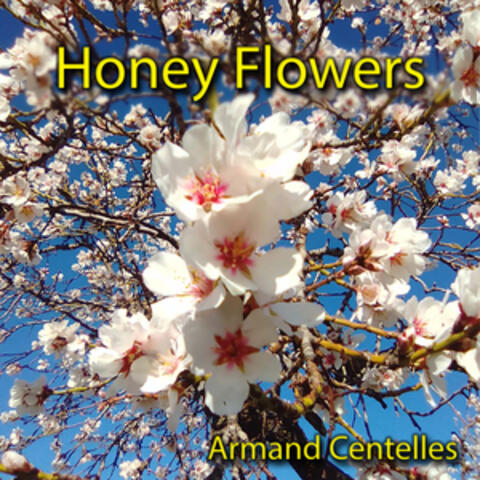 Honey Flowers