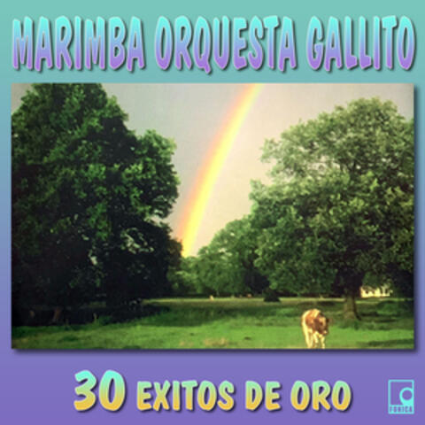 30 Éxitos de Oro
