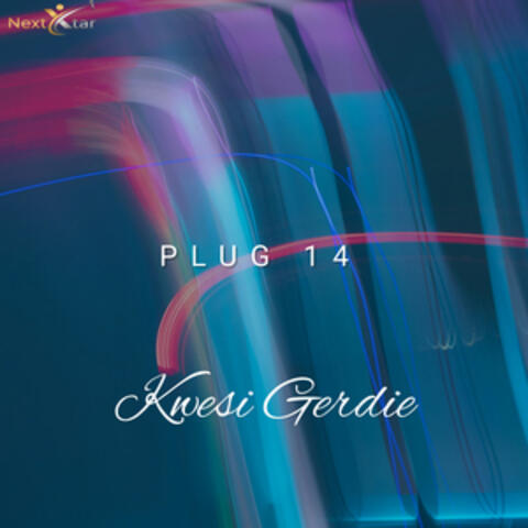 Plug 14