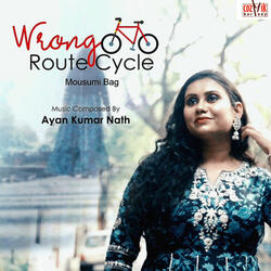 Wrong Route Cycle