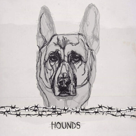 Hounds
