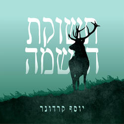 תשוקת הנשמה