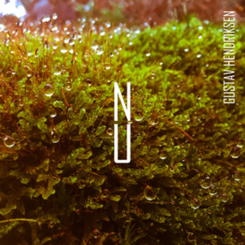 Nu