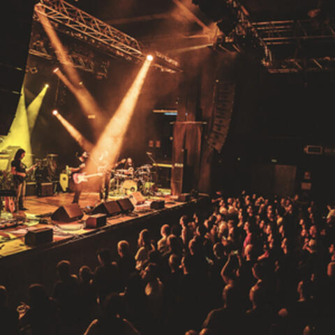 Weights (Live in Veruno)